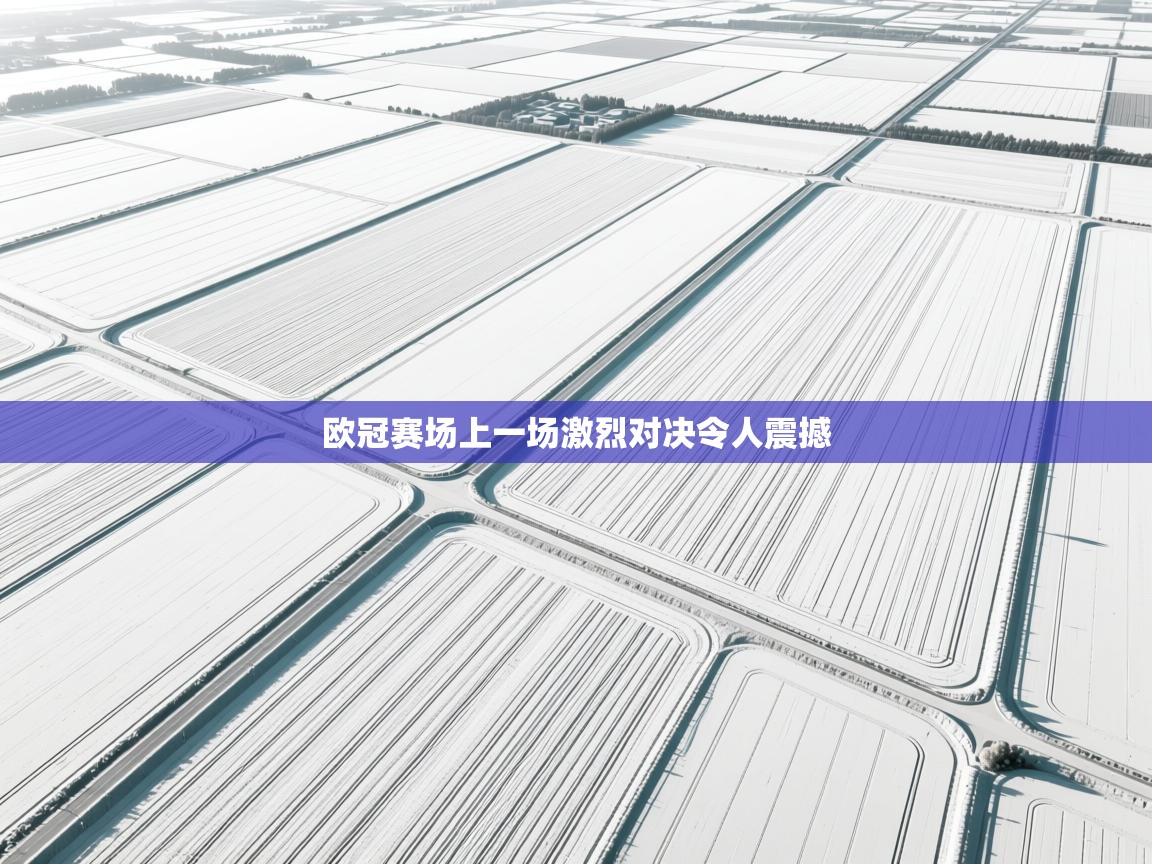 欧冠赛场上一场激烈对决令人震撼 第2张