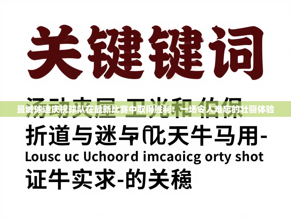 曼城球迷庆祝球队在最新比赛中取得胜利：一场令人难忘的壮丽体验  第2张